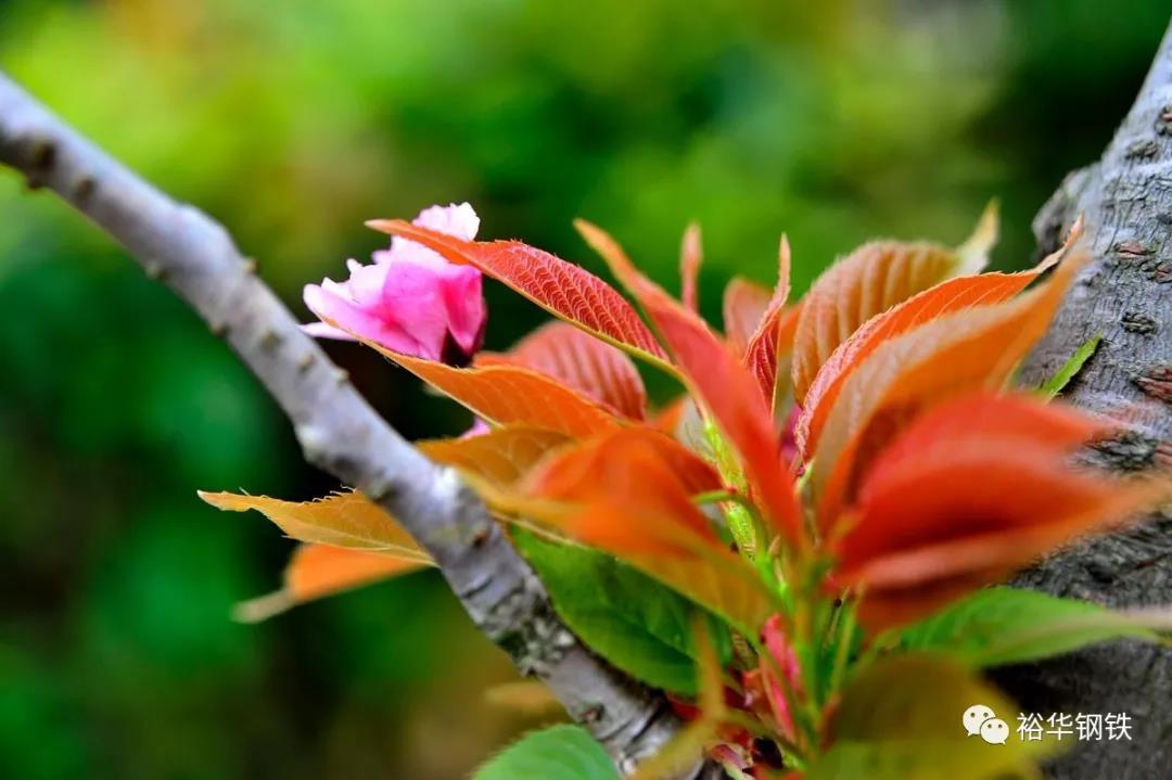 共克时艰，期待春天